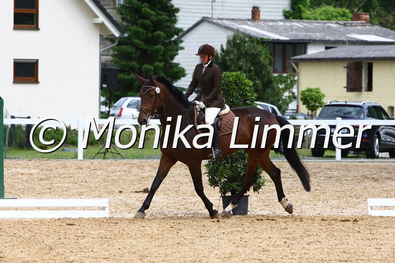 006M5556_Eignung_A_Santina Bellissima.JPG